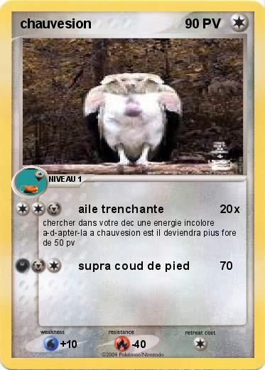 Pokemon chauvesion