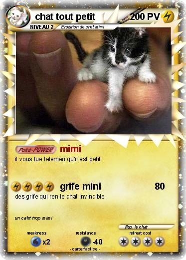 Pokemon chat tout petit