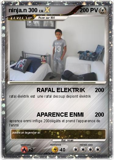 Pokemon ninja.n 300