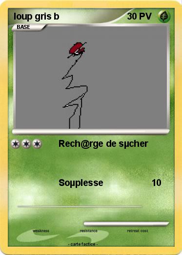 Pokemon loup gris b