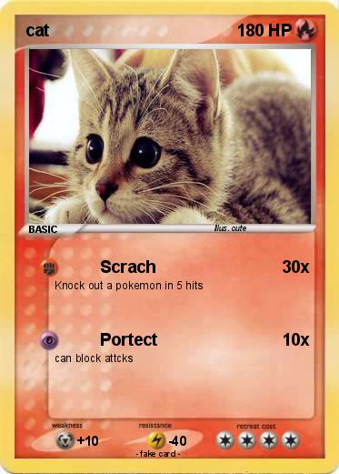 Pokemon cat
