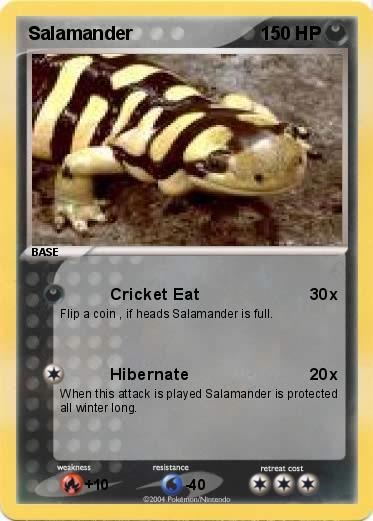 Pokemon Salamander
