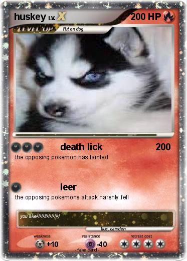 Pokemon huskey