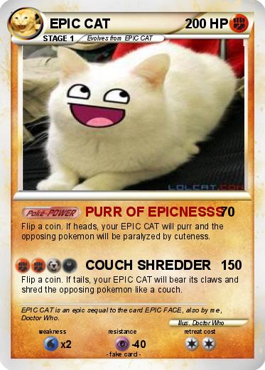 Pokemon EPIC CAT