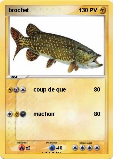Pokemon brochet