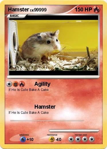 Pokemon Hamster