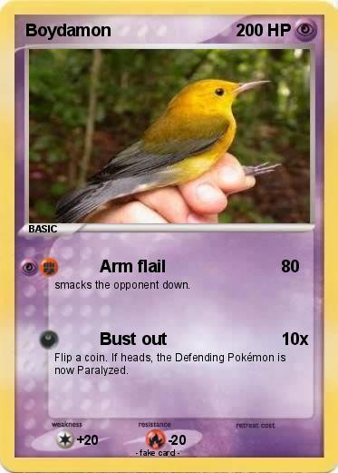 Pokemon Boydamon
