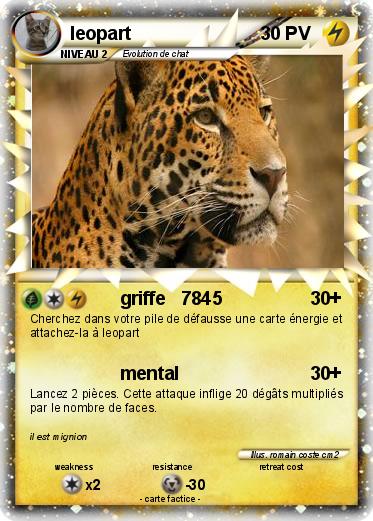 Pokemon leopart
