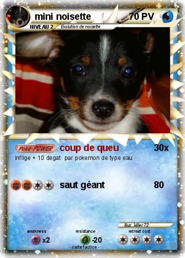 Pokemon mini noisette