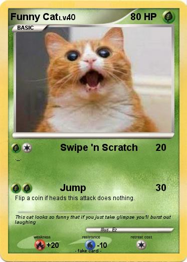 Pokemon Funny Cat