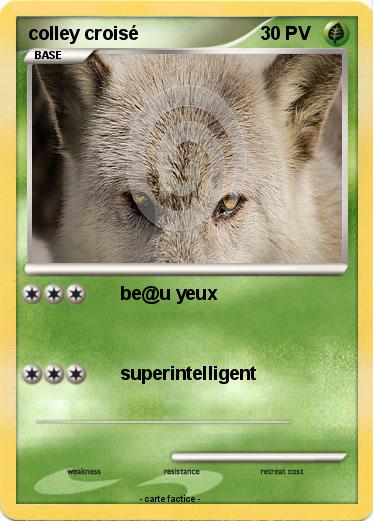 Pokemon colley croisé