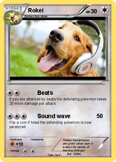 Pokemon Rokei