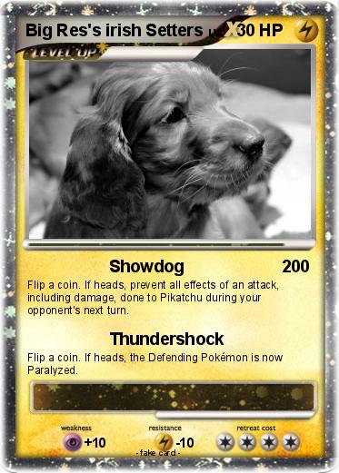 Pokemon Big Res's irish Setters