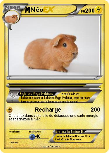 Pokemon Néo
