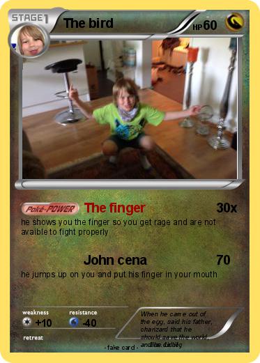 Pokemon The bird