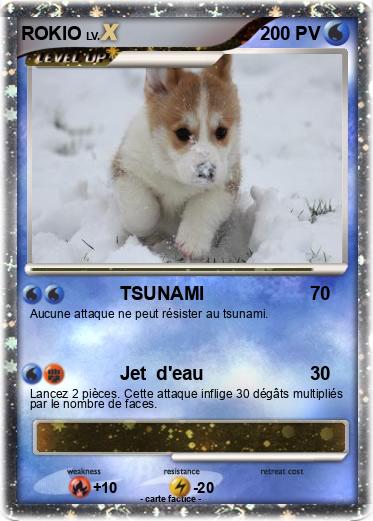 Pokemon ROKIO