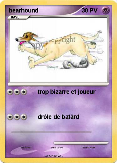Pokemon bearhound