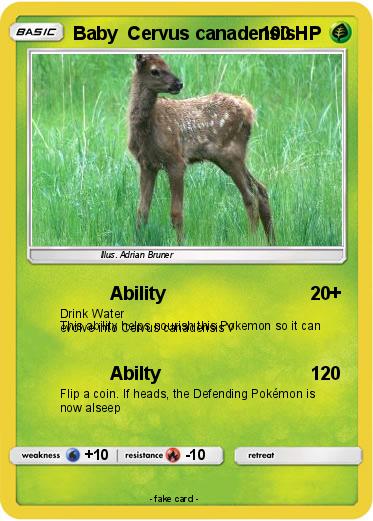 Pokemon Baby  Cervus canadensis