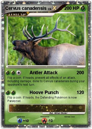 Pokemon Cervus canadensis