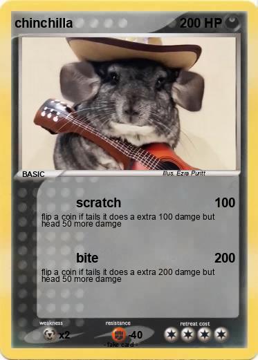 Pokemon chinchilla