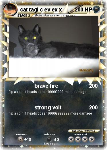 Pokemon cat tagi c ev ex x