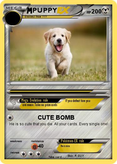 Pokemon PUPPY
