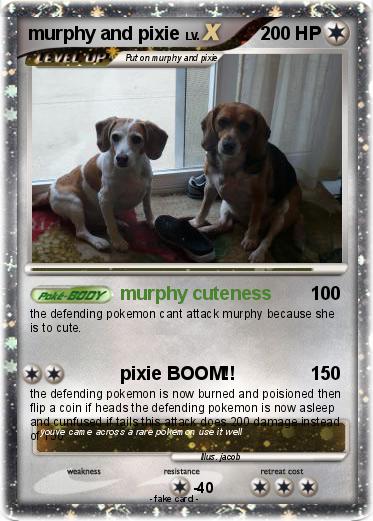 Pokemon murphy and pixie