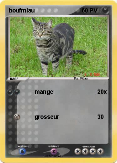 Pokemon boufmiau