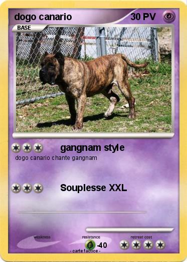 Pokemon dogo canario