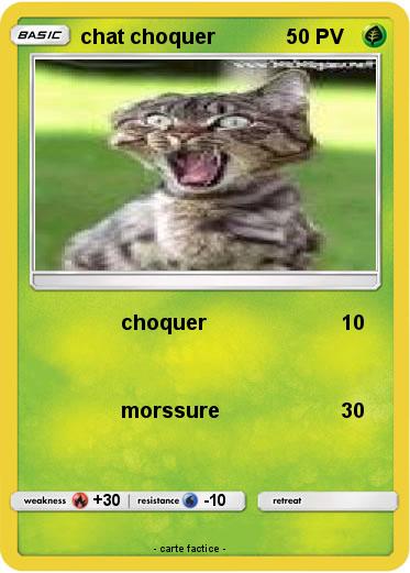 Pokemon chat choquer