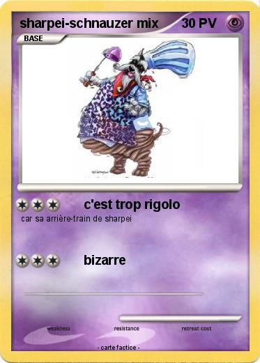 Pokemon sharpei-schnauzer mix