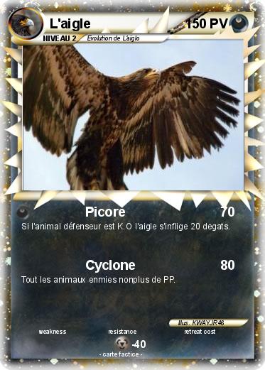 Pokemon L'aigle