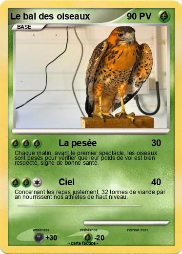 Pokemon Le bal des oiseaux