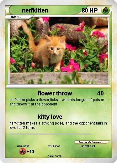 Pokemon nerfkitten