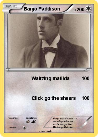 Pokemon Banjo Paddison