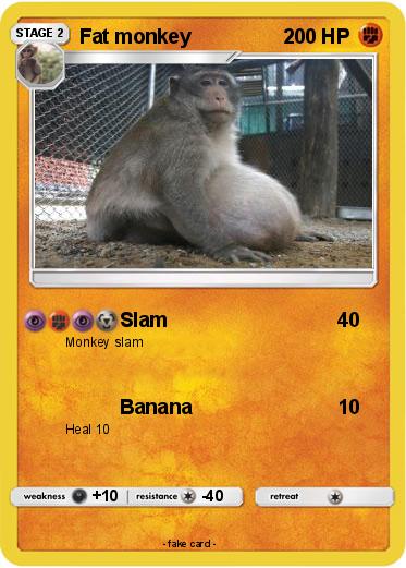 Pokemon Fat monkey