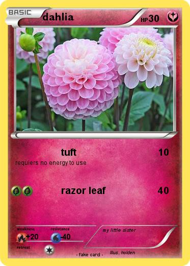 Pokemon dahlia