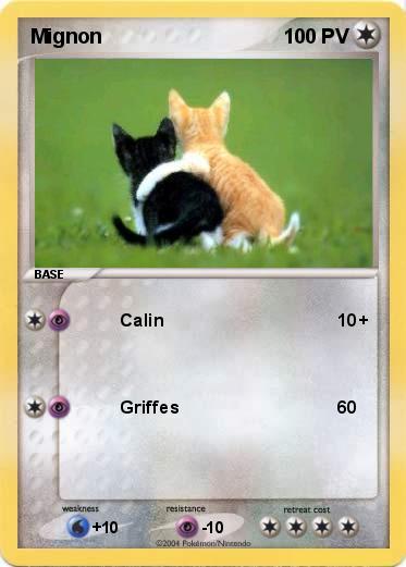 Pokemon Mignon