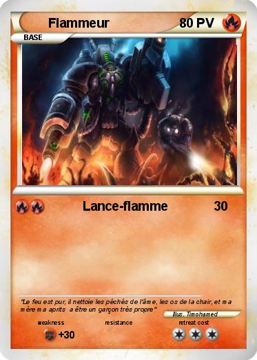 Pokemon Flammeur