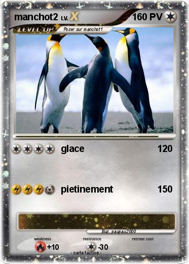 Pokemon manchot2