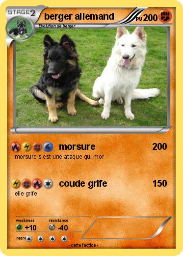 Pokemon berger allemand