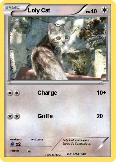 Pokemon Loly Cat