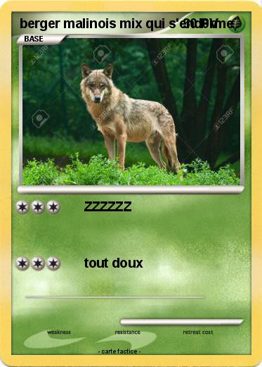 Pokemon berger malinois mix qui s'end0rme
