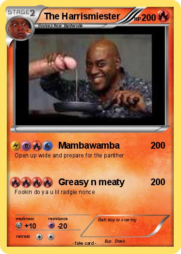 Pokemon The Harrismiester