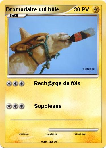 Pokemon Dromadaire qui b0ie