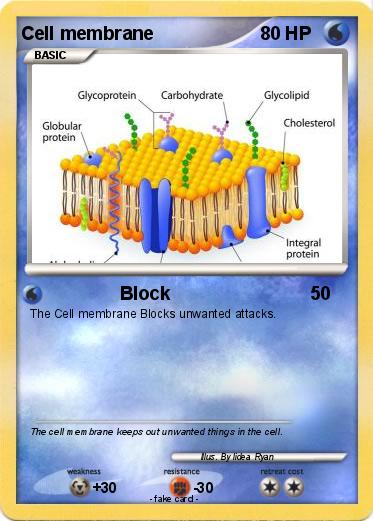 Pokemon Cell membrane