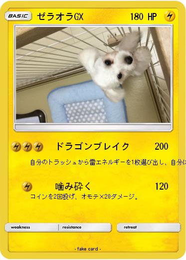 Pokemon ゼラオラGX