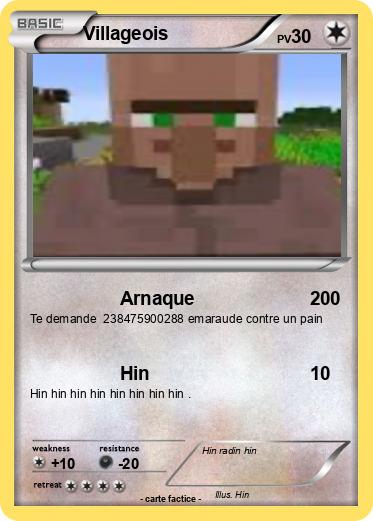 Pokemon Villageois