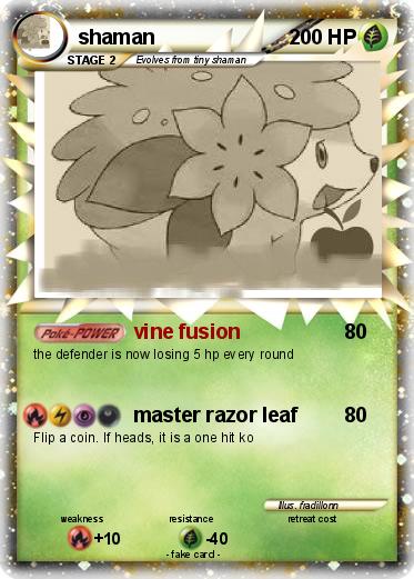Pokemon shaman