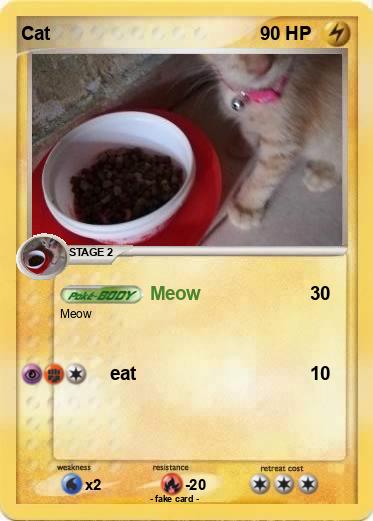 Pokemon Cat